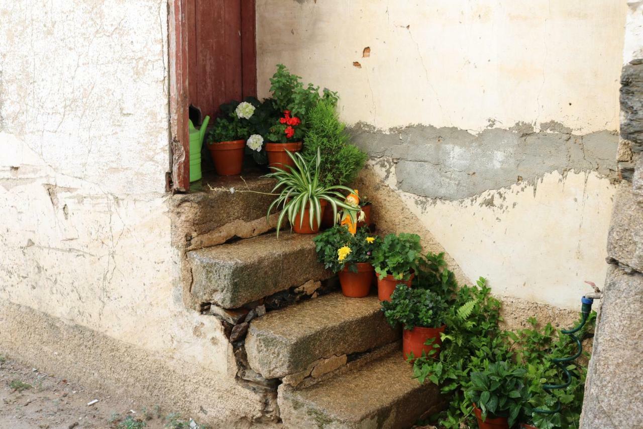 Casa Do Regedor ξενώνας Palacoulo Εξωτερικό φωτογραφία